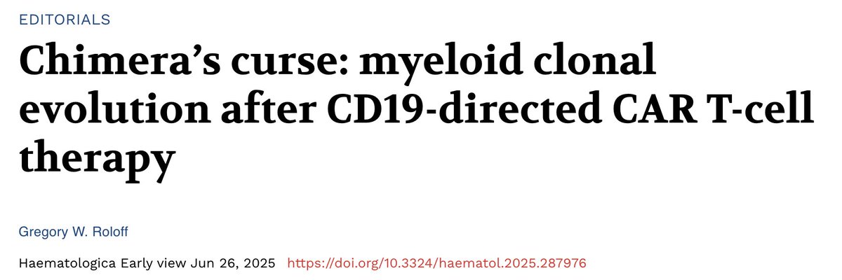 UChicagoLeuk's tweet image. Check out this editorial by @RoloffGreg (with a very catchy title!) in @Haematologica on development of myeloid disorders after CD19 CART cell therapy!
haematologica.org/article/view/1…