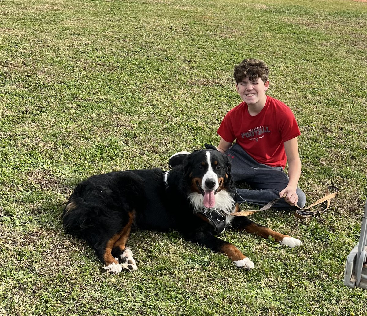 Travis Pitman tweet media