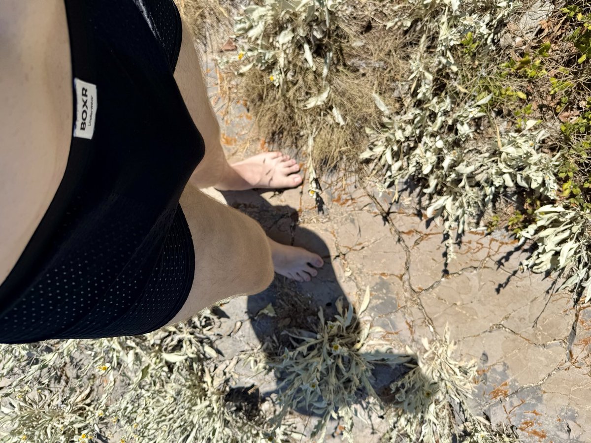 bigfeetalpha's tweet photo. Exploring barefoot with size 50🦶🔥
Nature feels different when you’re walking it with giants’ steps.
Wanna see more or just say hi? DMs open &amp; reposts always appreciated 💌💬
#Size50 #barefoot #BigFeet #GayFeet #FootLovers #Cashmaster #FootContent #SockContent #Feetpics https://t.co/STDy5hPox3