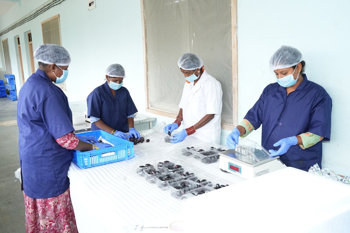 chandruiyer's tweet image. Another wonderful #Karnataka #UK growth story. Fresh Jamuns (Black Plums) have been exported to the UK for the very first time. 

The India UK Trade deal is poised to give rise to many more such business success stories. @HMTCSouthAsia @biztradegovuk 

timesofindia.indiatimes.com/business/india…
