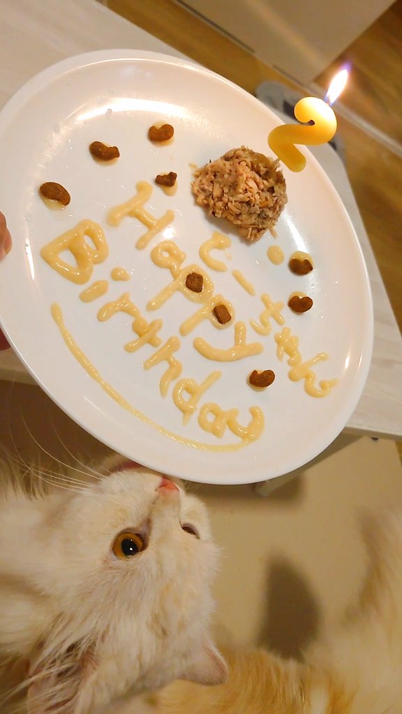 2ちゃいになりました😺