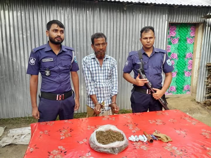 গোবিন্দগঞ্জে যৌথবাহিনীর অভিযানে বিপুল গাঁজাসহ মাদক কারবারি আটক