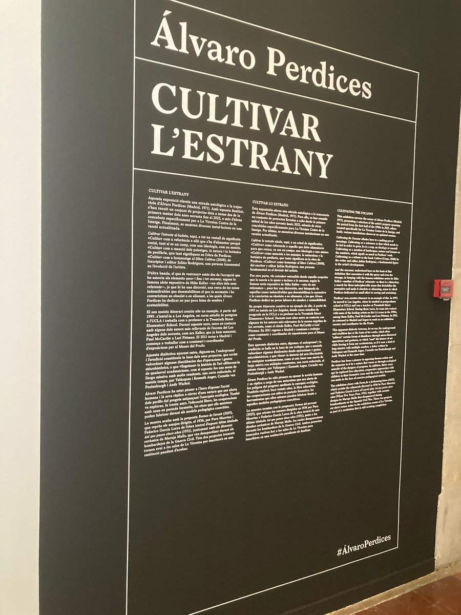 Javier Rodríguez Marcos tweet media