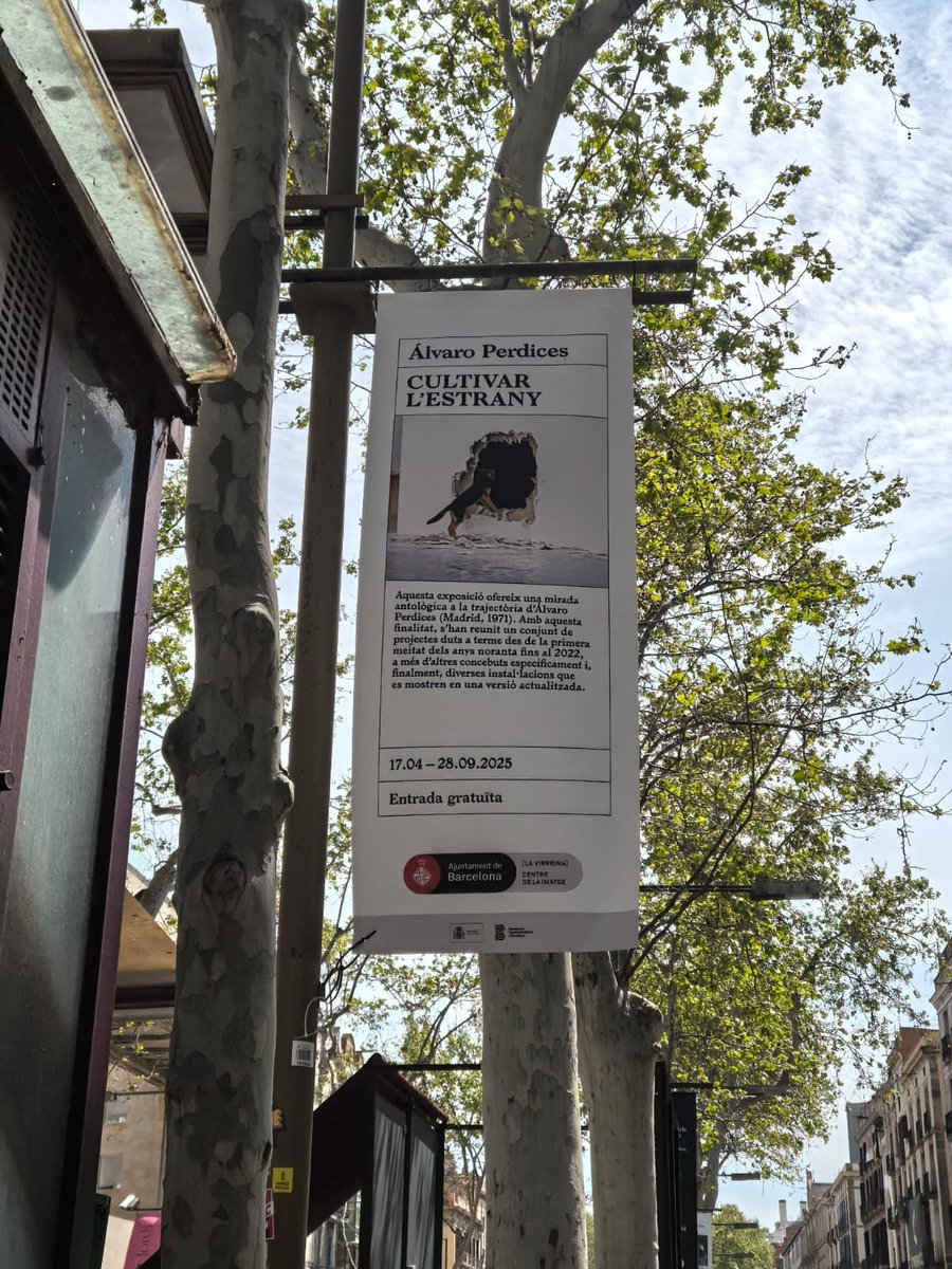 Javier Rodríguez Marcos tweet media