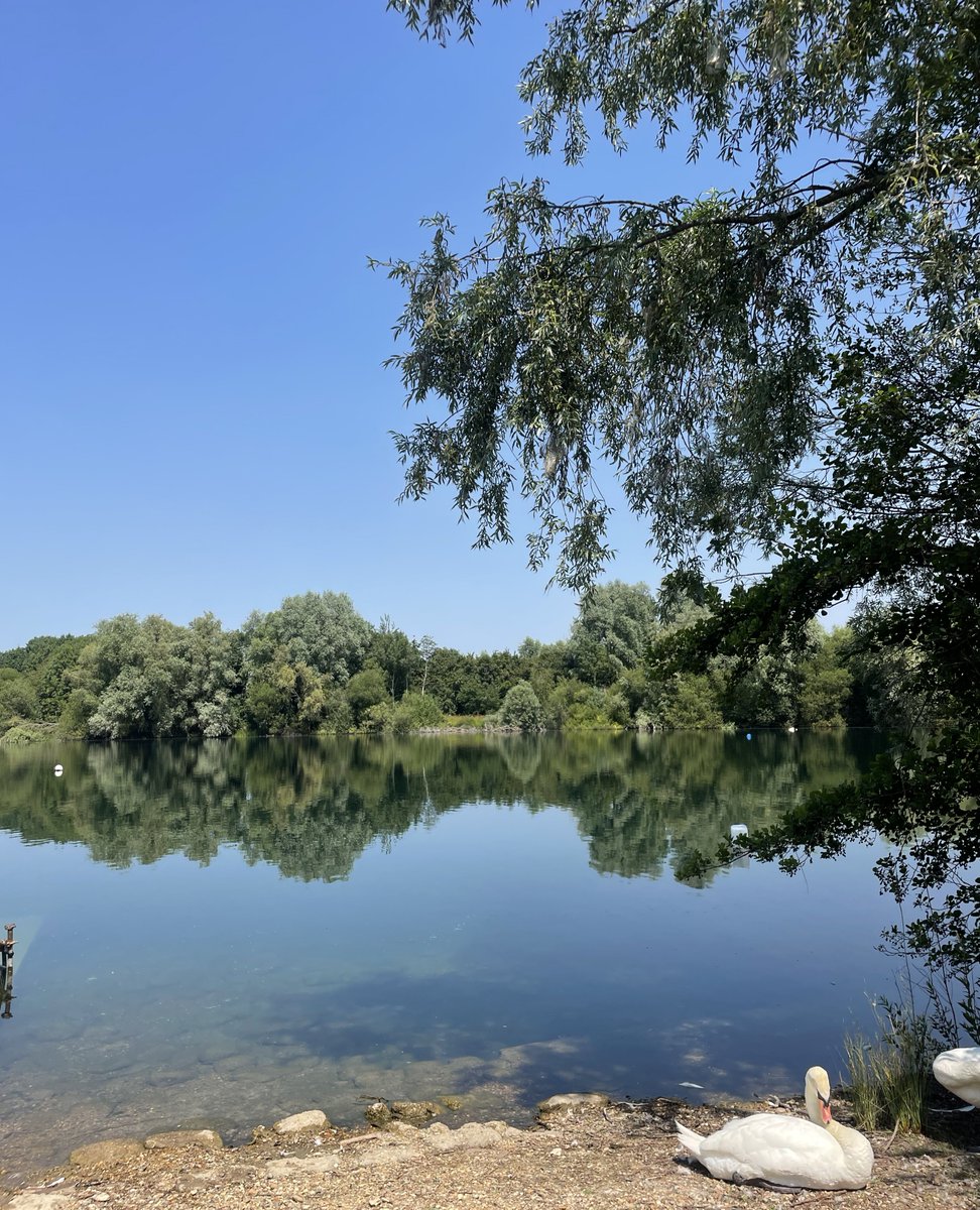 LSDUK's tweet image. ☀️ Your next summer activity is here!
 Soak up the sunshine and earn your PADI Open Water certification.
Learn to dive, enjoy being outside (and underwater), and make the most of summer with London School of Diving 🌊
📅 Courses running weekly 
#PADIOpenWater #LearnToDive