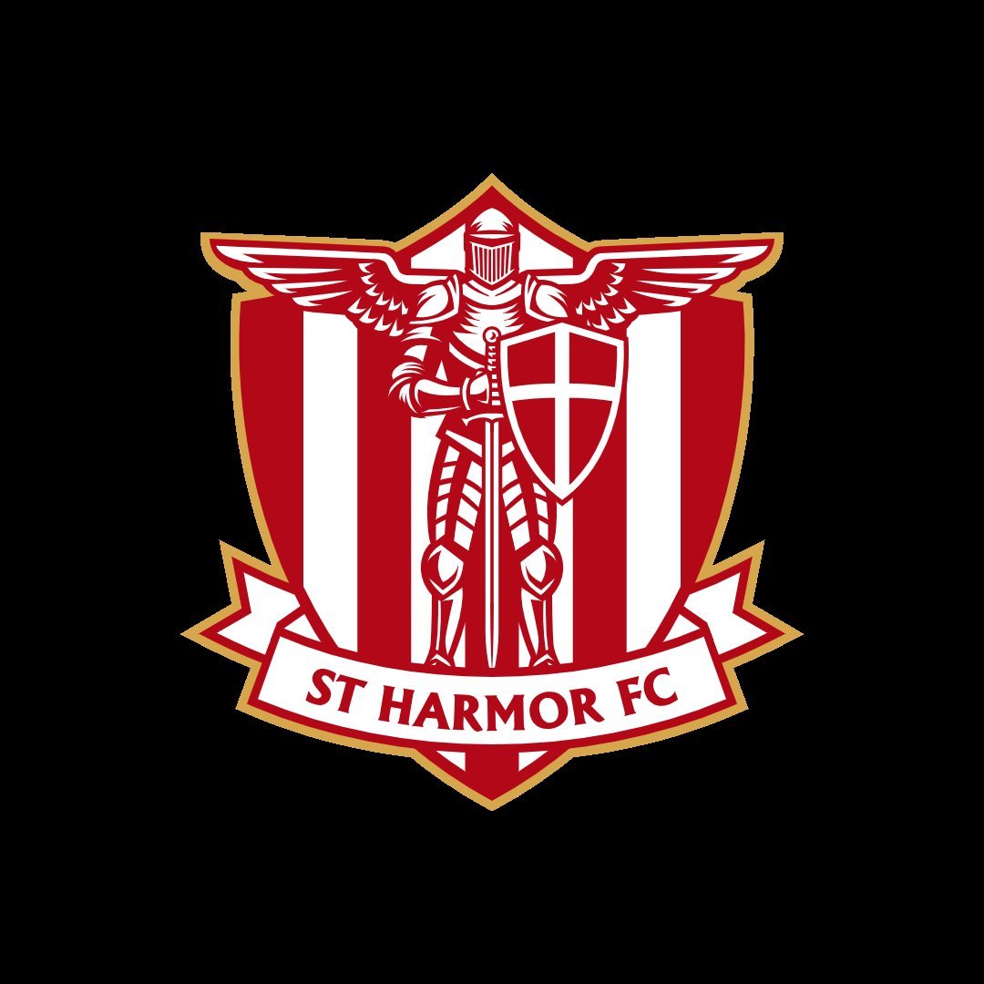 StTridgeW's tweet image. 🧟‍♂️ The Zombie Challenge 🧟‍♀️

Rising from the Dead (and Losing with Style)

Early last season, in a moment of financial lucidity (or sheer madness), the STW Group quietly acquired its 5th club: St Harmor—a team best known not for its football, but for its absurdly gorgeous badge…