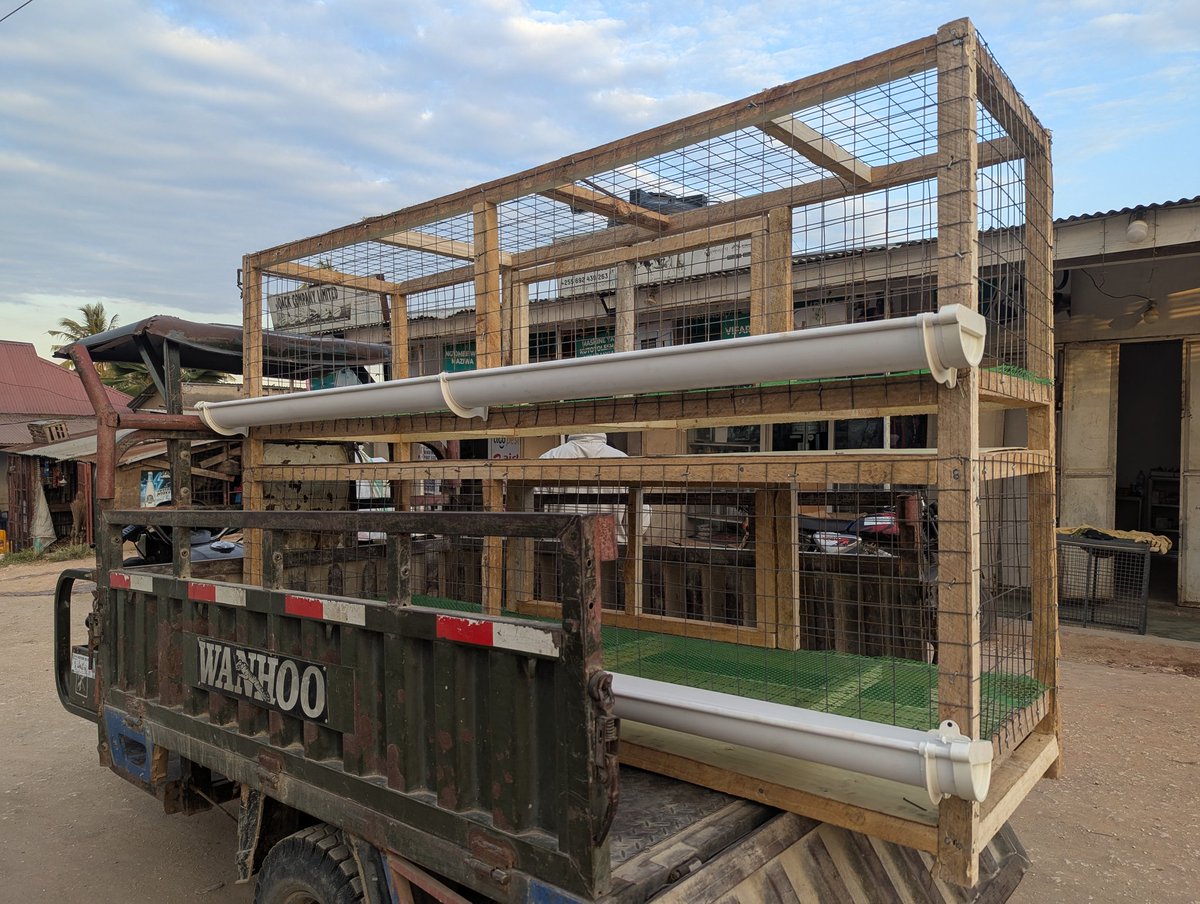 joackagrovet's tweet photo. TUNATENGENEZA MABANDA YA KUKU YA KUHAMISHIKA, MABANDA YA MBAO YA KUKU, WE CONSTRUCT WOODEN POULTRY HOUSE.

Hilo ni Banda la kuku 50 wakubwa, ila vifaranga vinaingia 260. 

Call/Text/WhatsApp: +255 712 253 102 https://t.co/1MDFPy43gf