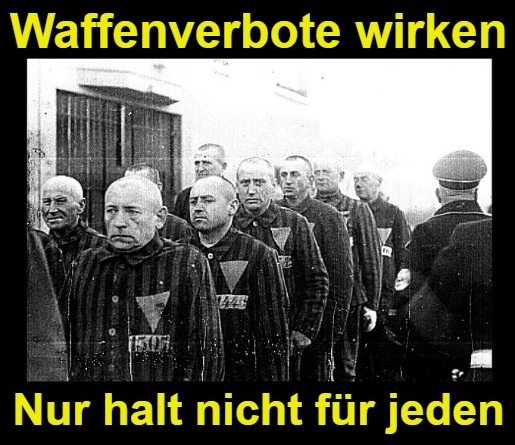 Der rosarote Panzer (@rosarotepanzer) on Twitter photo 