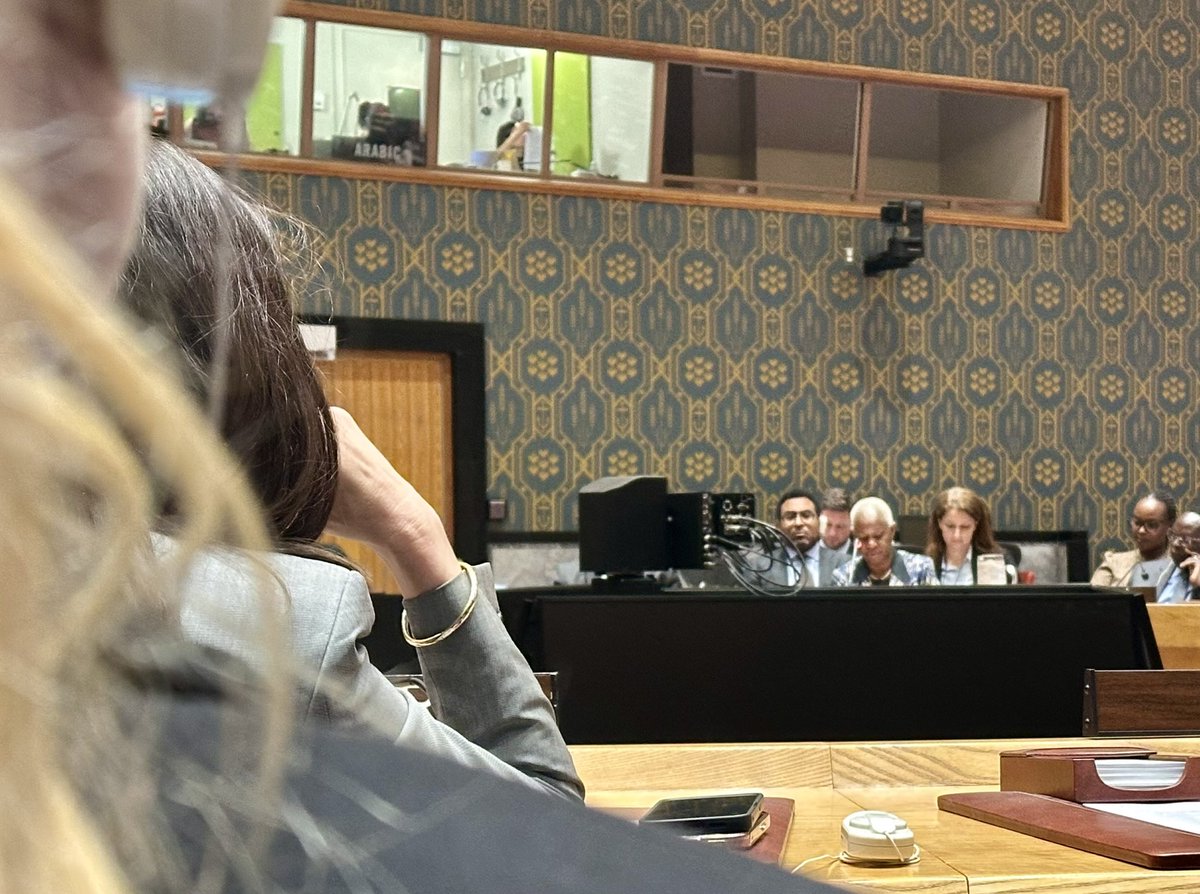 In the #UNSC 🇩🇰 thanked SRSG Keita and her team as well as welcomed the signing of the peace agreement between the DRC and Rwanda and facilitated by the United States. Expressed hope that the parties will continue to engage in good faith to ensure the successful implementation.