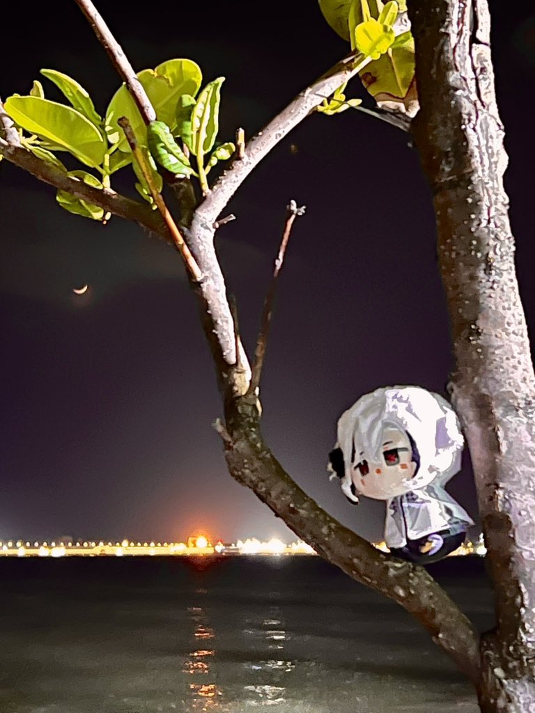 Healing with Arlecchino ❤️