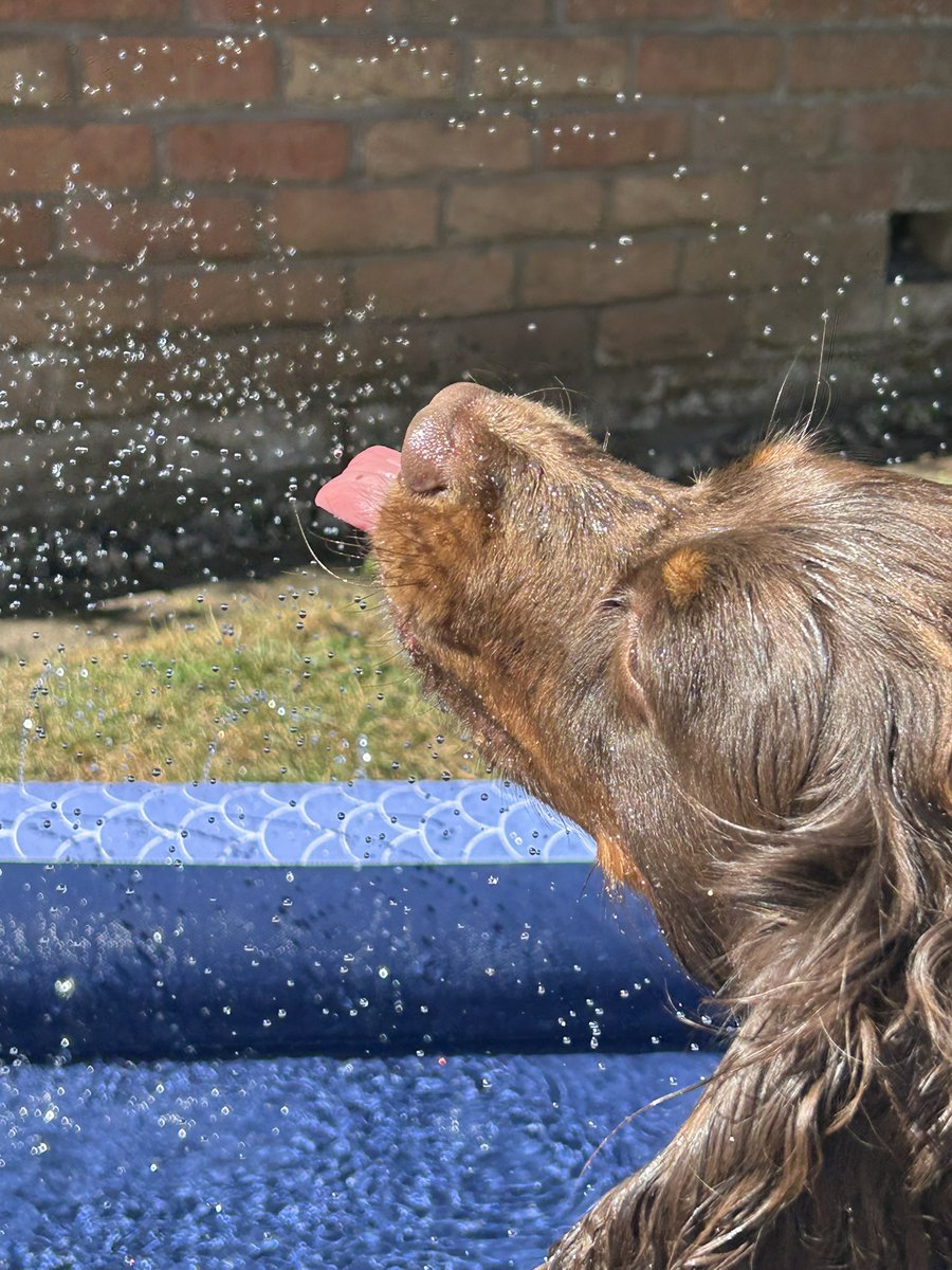 No beach/sea but fun in the water in Costa Del Little Dawley
