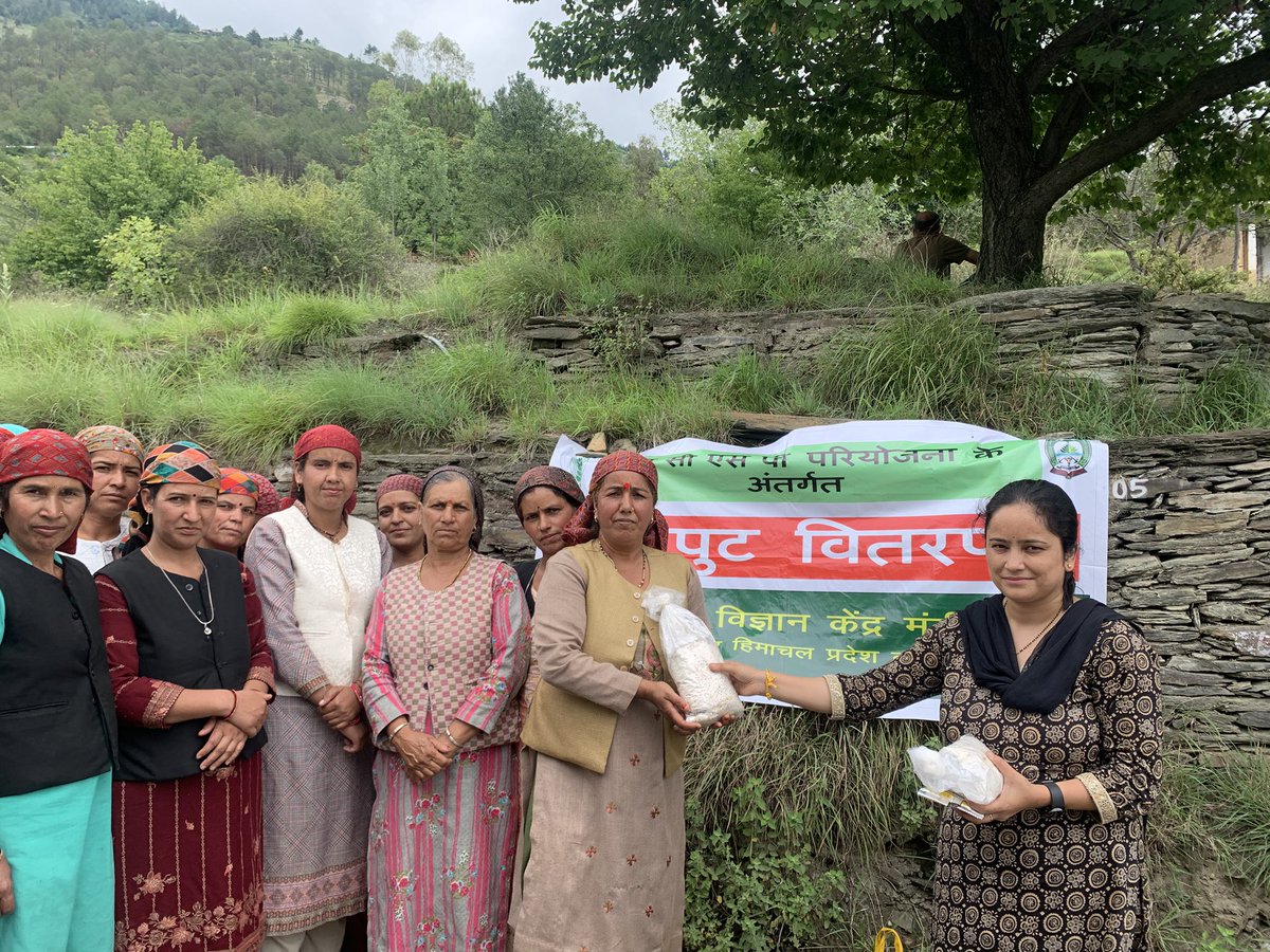 KVK Mandi HP (@kvkmandihp1) on Twitter photo KVKs Mandi, Kullu & L&S 1 conducted agri & livestock training-cum-demos in Nirmand, reaching 500+ farmers under ICAR-SCSP.
Focus: Mushroom, UMB, mineral mixture & silage.
<a href="/icarindia/">Indian Council of Agricultural Research.</a> <a href="/atari1icar/">ICAR-ATARI, Ludhiana</a> <a href="/AgriGoI/">Agriculture INDIA</a> <a href="/HPAUbest/">CSK H.P.Agriculture University</a> <a href="/KvkKukumseri/">KVK, Kukumseri, Lahaul & Spiti-1, Himachal Pradesh</a> <a href="/kvkkullu/">KVK Kullu</a> #icarindia #atari1icar KVKs Mandi, Kullu & L&S 1 conducted agri & livestock training-cum-demos in Nirmand, reaching 500+ farmers under ICAR-SCSP.
Focus: Mushroom, UMB, mineral mixture & silage.
<a href="/icarindia/">Indian Council of Agricultural Research.</a> <a href="/atari1icar/">ICAR-ATARI, Ludhiana</a> <a href="/AgriGoI/">Agriculture INDIA</a> <a href="/HPAUbest/">CSK H.P.Agriculture University</a> <a href="/KvkKukumseri/">KVK, Kukumseri, Lahaul & Spiti-1, Himachal Pradesh</a> <a href="/kvkkullu/">KVK Kullu</a> #icarindia #atari1icar