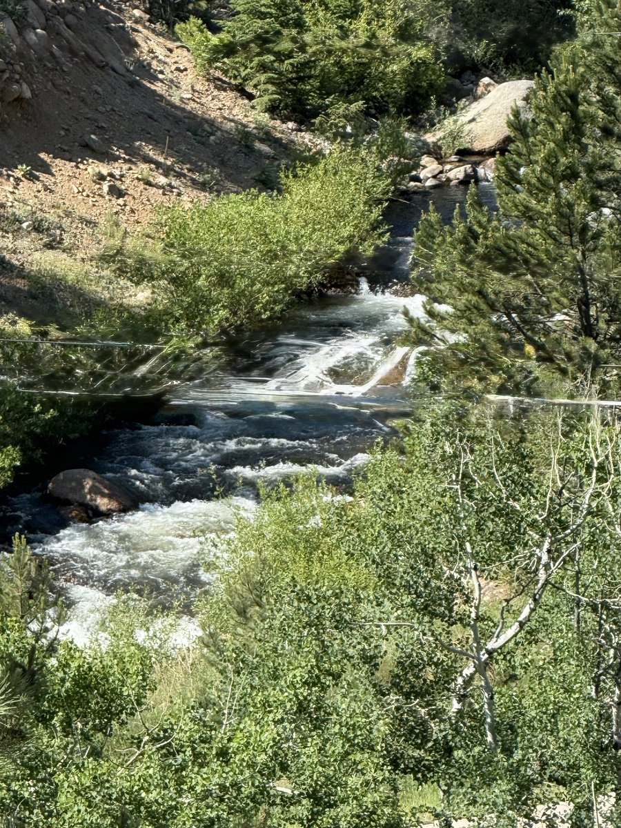sihog's tweet image. My coffee taste better than yours this morning. 
#RockyMountains