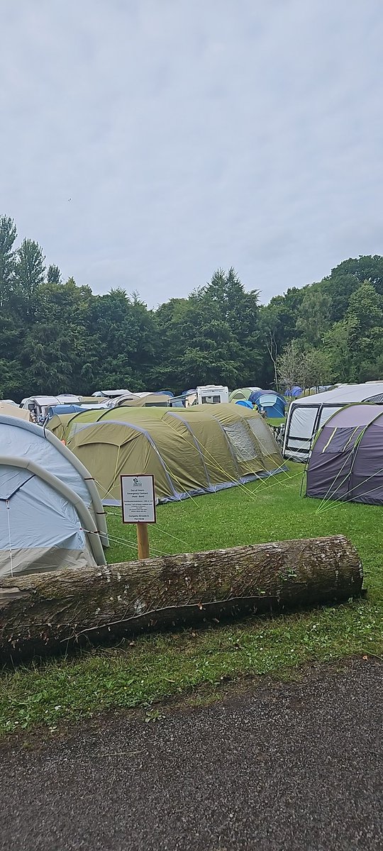There are tents in the campsite that Albert Reynolds would put bands into... 

#nightanddayfest