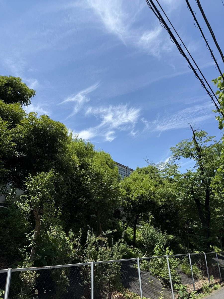t10m08t's tweet photo. プテラノドンみたいな雲見つけた。
#龍雲 https://t.co/Ck5hQakzZ4