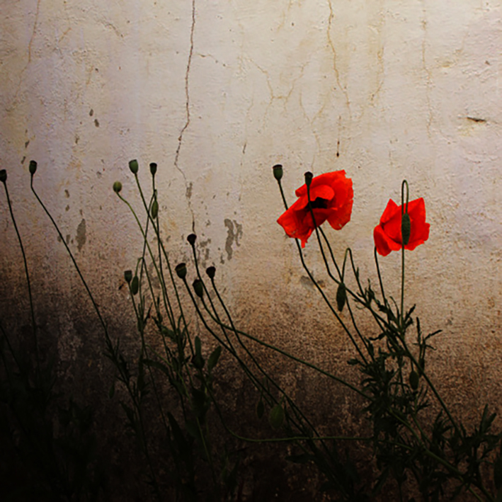 Einiges sprach in die Stille,
einiges schwieg,
einiges ging seiner Wege
Verbannt und Verloren
Waren daheim.

- Paul Celan -