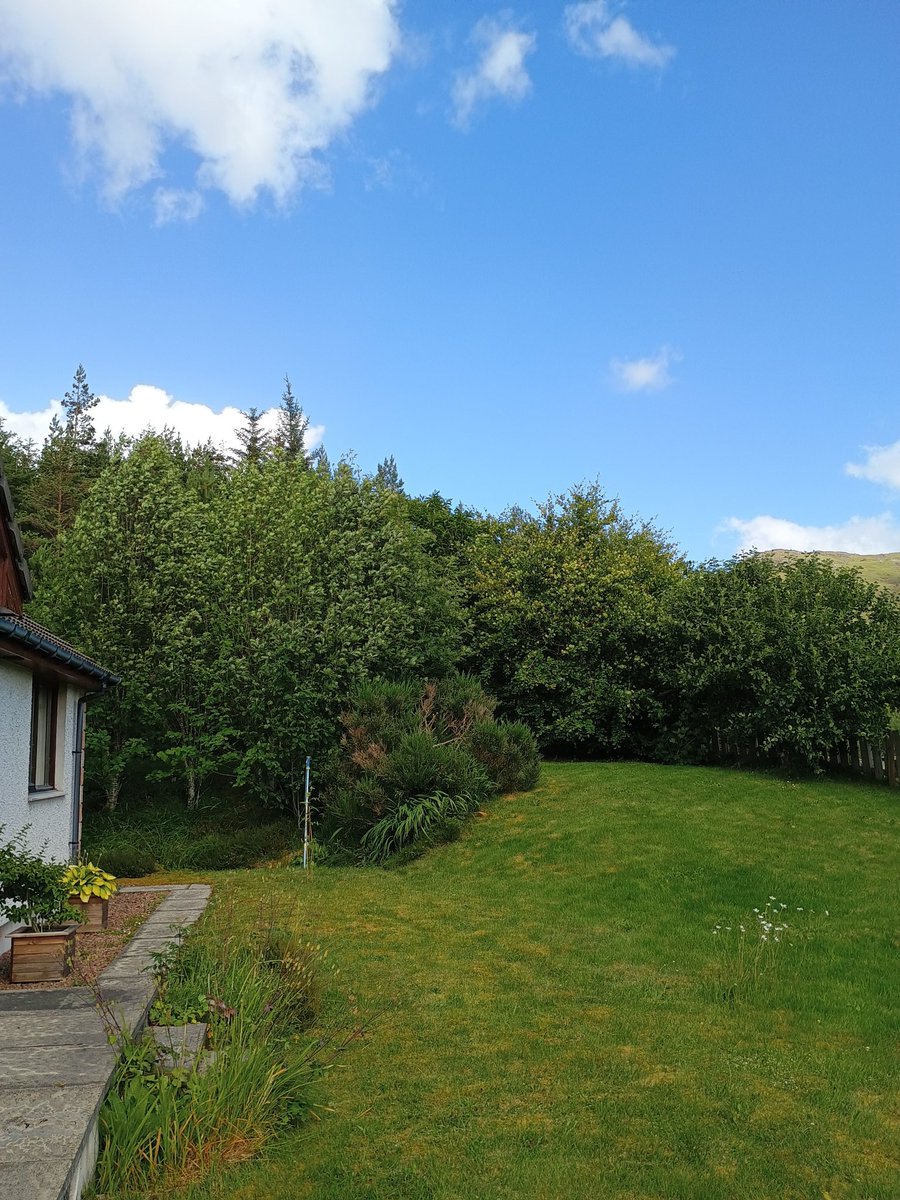 KHD_2017's tweet photo. A very wild but warm afternoon in the garden, typing up plants, rescuing pots which had escaped and doing some cutting back. #weekendoff https://t.co/LJbYRbLtra