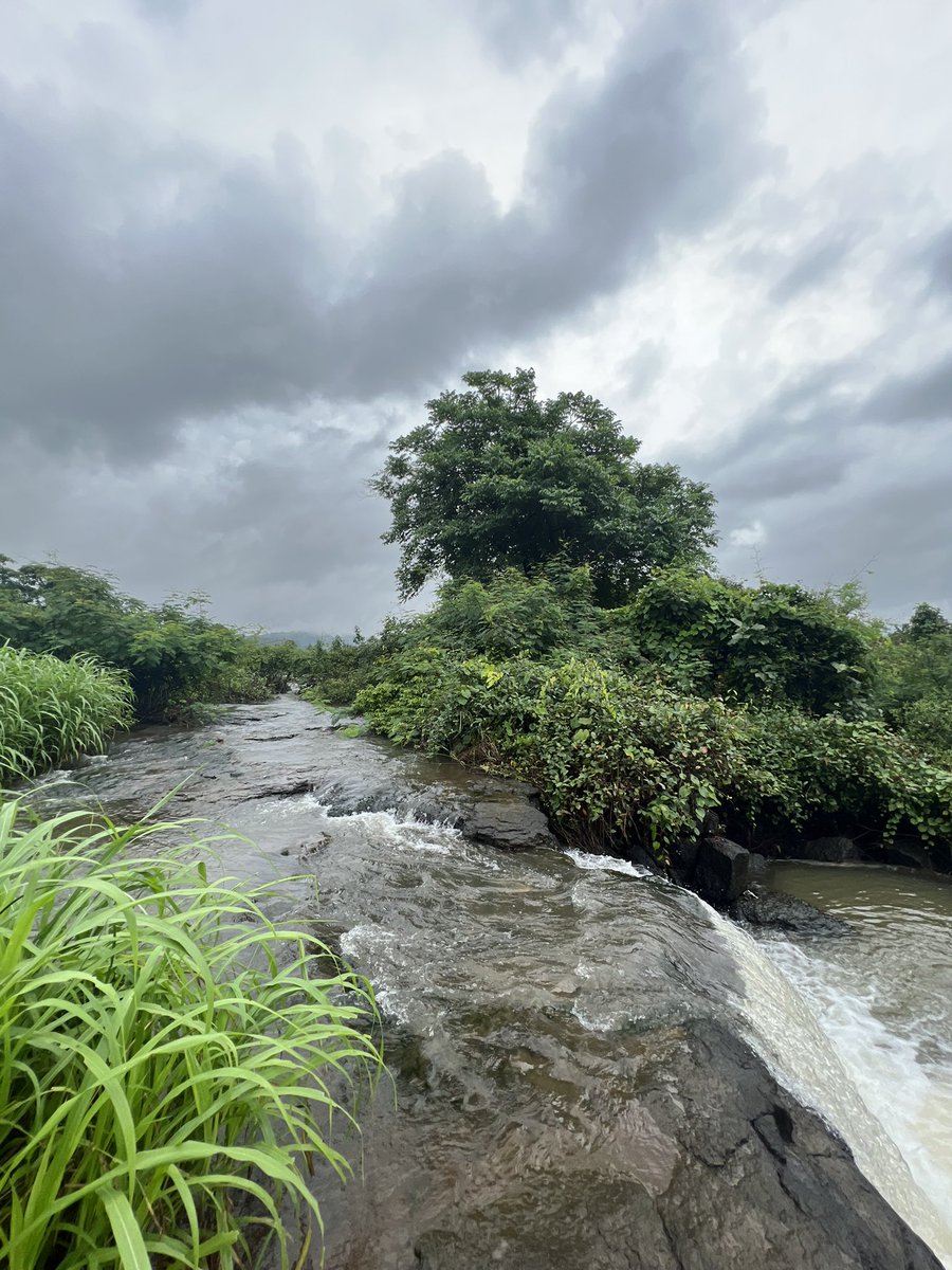 KANCHI90's tweet photo. A farmhouse stay you shouldn’t miss, especially if you want to experience the best weekend getaway. A must visit in monsoons 🌧️🌧️

“Bigfoot stay - Forganic Farm” is an absolutely unique &amp; stunning destination just 75kms away from Mumbai! 

#WeekendPlans #nearmumbai  #monsoon https://t.co/cNRqH0O2GC