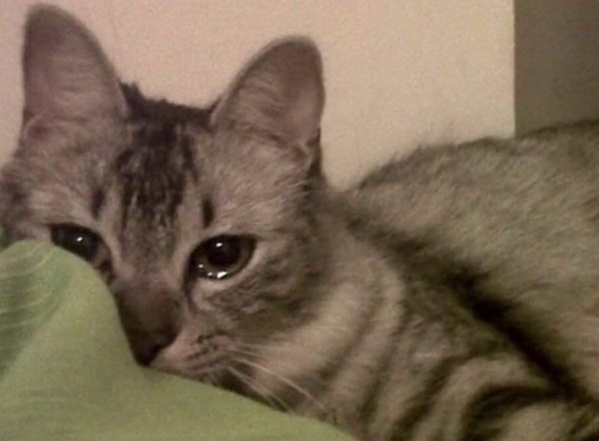 -Bişe mi oldu 
+yo olmadı