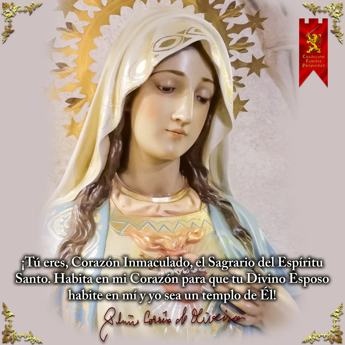 Inmaculado Corazón de María

#corazondemaria #FrasesParaElAlma #tfp #pliniocorreadeoliveira