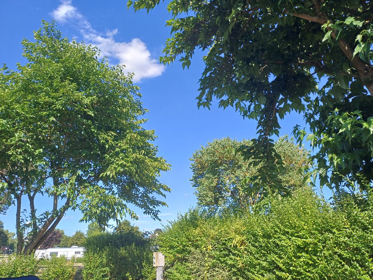 Ist schon schön hier...😎