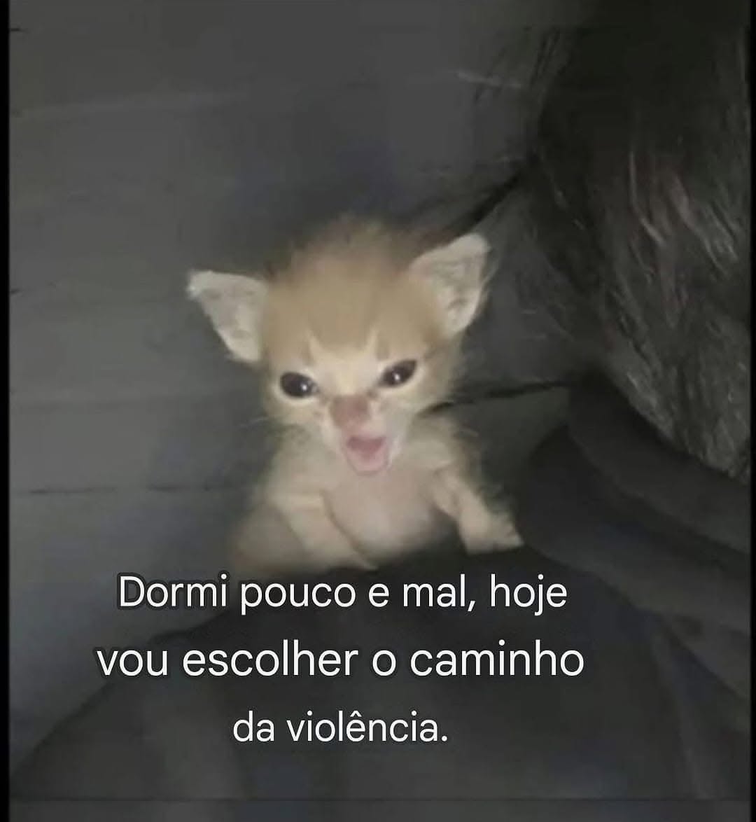 sobreteucaos's tweet photo. https://t.co/BMvnjQvlta
