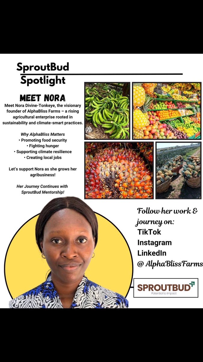 sproutbudltdgte's tweet photo. This week’s #SproutBudSpotlight
Meet Nora Divine-Tonkeye, founder of AlphaBliss Farms, championing climate-smart farming and sustainable food systems in Nigeria.

From fresh fruits to pure palm oil, she’s growing change—ethically and impactfully.

#SproutBud #WomenInBusiness https://t.co/nX4yi91GL2