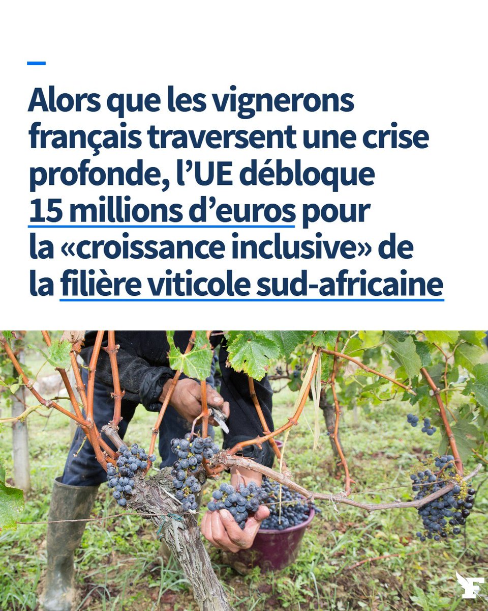 L'argent est versé à l’Afrique du Sud, non pas pour soutenir la production, mais pour financer la “diversité et l’inclusivité” dans sa viticulture. →l.lefigaro.fr/V6X