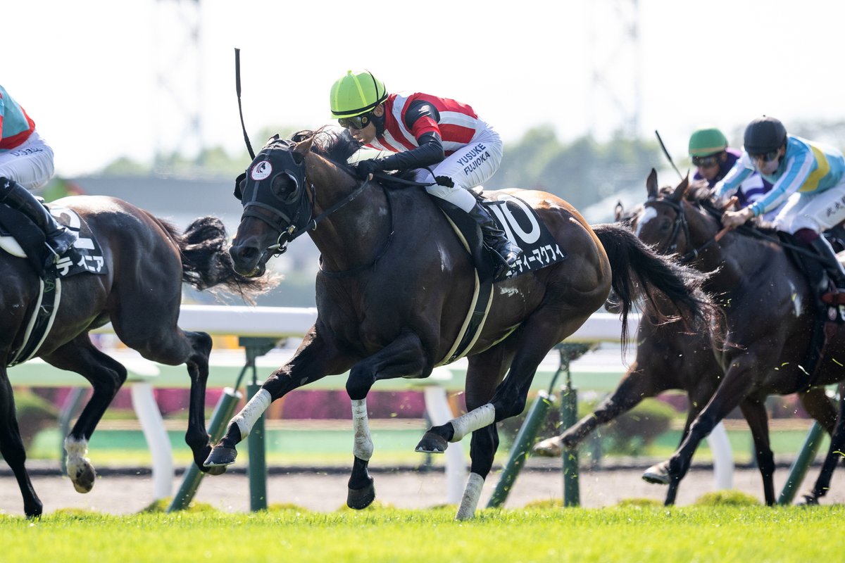 netkeiba's tweet photo. 函館10R 洞爺湖特別 3歳上2勝
#カネラフィーナ
#横山武史
父Frankel
母ジョイカネラは🇦🇷亜G1・2勝

函館11R 青函S オープン
#エーティーマクフィ
#藤岡佑介
父マクフィ
母テンシンランマン
岡田隆寛オーナーは2015年門司S(サンバビーン)以来のJRAメイン勝利。
撮影：山中博喜 https://t.co/G6cnHPwb62