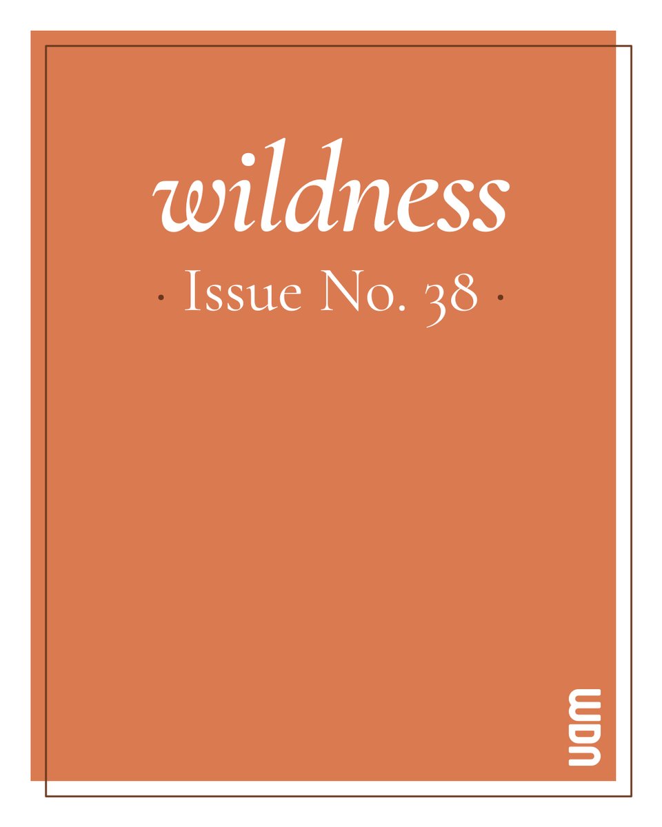 wildnessjournal's tweet image. Issue No. 38 of WILDNESS is out! 🧶
Featuring new work from @phlat_soda, @HariAlluri, @saudsleypoet, @TaylorFranson, @kryleef, @richardsiken + 🧡
readwildness.com/38