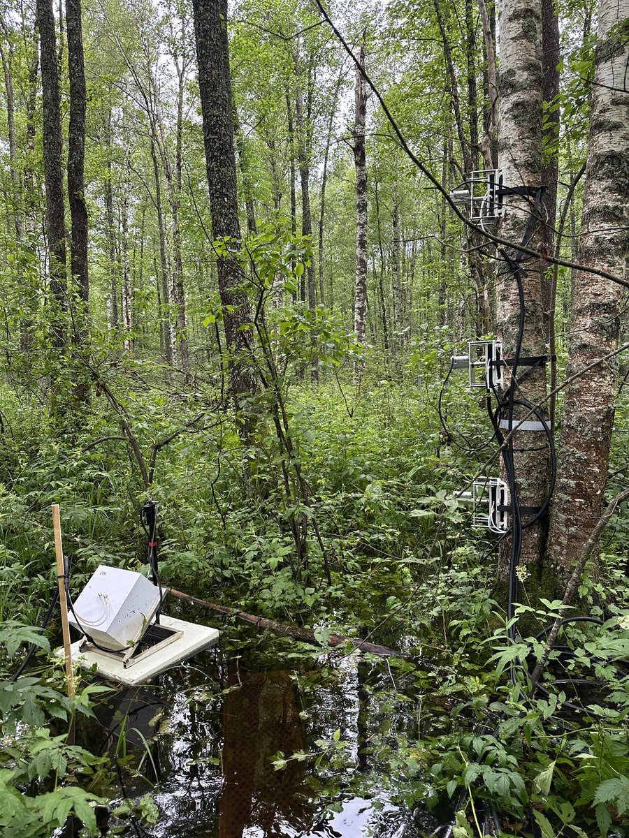 Kazmi_FahadAli's tweet photo. ERC grant’s #PeatlandN2O Extended Knowledge Board (EKB) meeting today in Tartu and visits to our newly established site in Siniküla and pristine peatlands in Männikjärve park. 

#GHG #Peatlands #Estonia https://t.co/sf9p0nFUhu