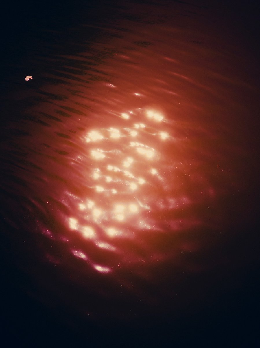 Orange photos I took from mobile phone