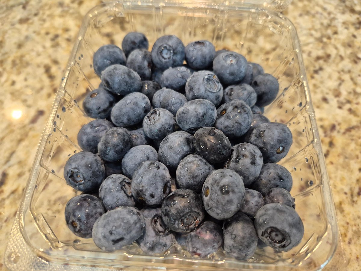 Here's a berry tasty way to celebrate the 46th anniversary of the signing of the Pinelands Protection Act: vegan #pancakes, made from scratch with plump, scrumptious #blueberries that were freshly picked in the #NJ #Pinelands. 🫐 

📷/🧑‍🍳 : Paul Leakan, NJPC