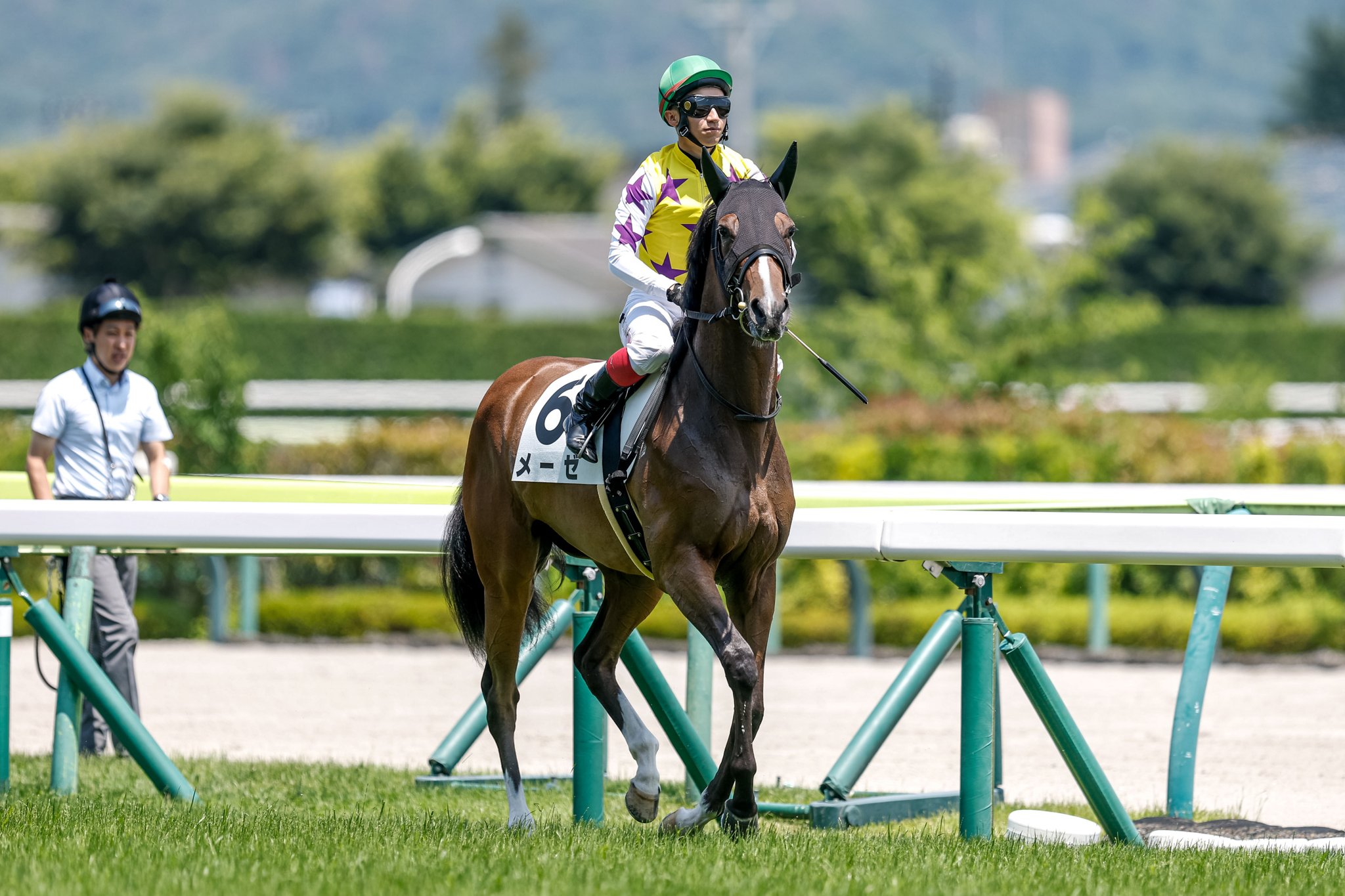 【中古】 プー競馬！ 珍迷馬・夢のグランプリ/コーエーテクモゲームス/プー競馬編集部 show_photo.php?horse_id=