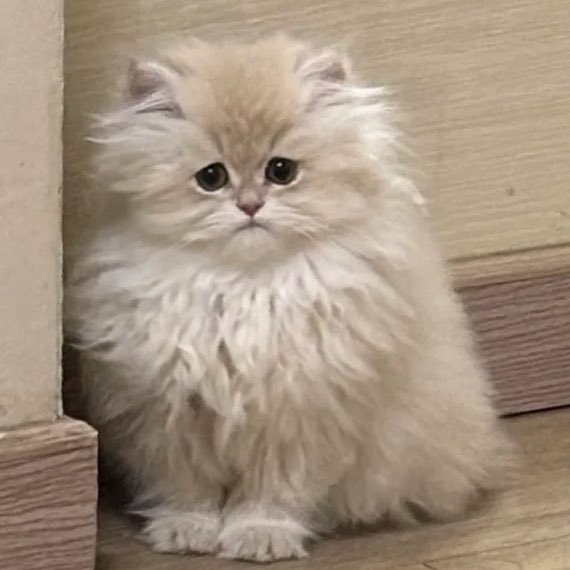 รักนะเว่ย!!                     เสียงดังแปว่ามั่ยรักสินะ