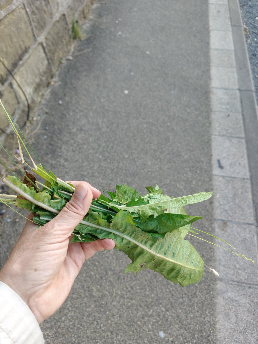 Held der Arbeit tweet media