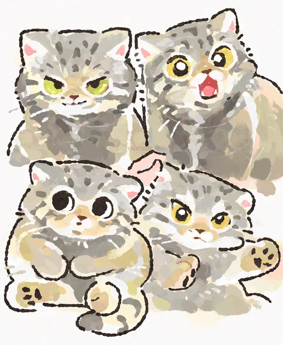 Pallas's cat
