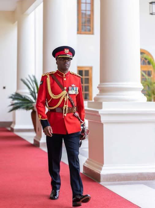 Lesuuda's tweet photo. Congratulations to Brigadier Fabian Lengusuranga, Major General Mohamed Isak Iddi, and Major General Timothy Stelu Lekolool together with your collegeues on your well-deserved promotions. 

Your unwavering dedication, exemplary leadership, and service to our nation continue to inspire. I wish you great success as you take on your new responsibilities to serve our nation in the armed forces. 

Hongera na heri njema!
NL