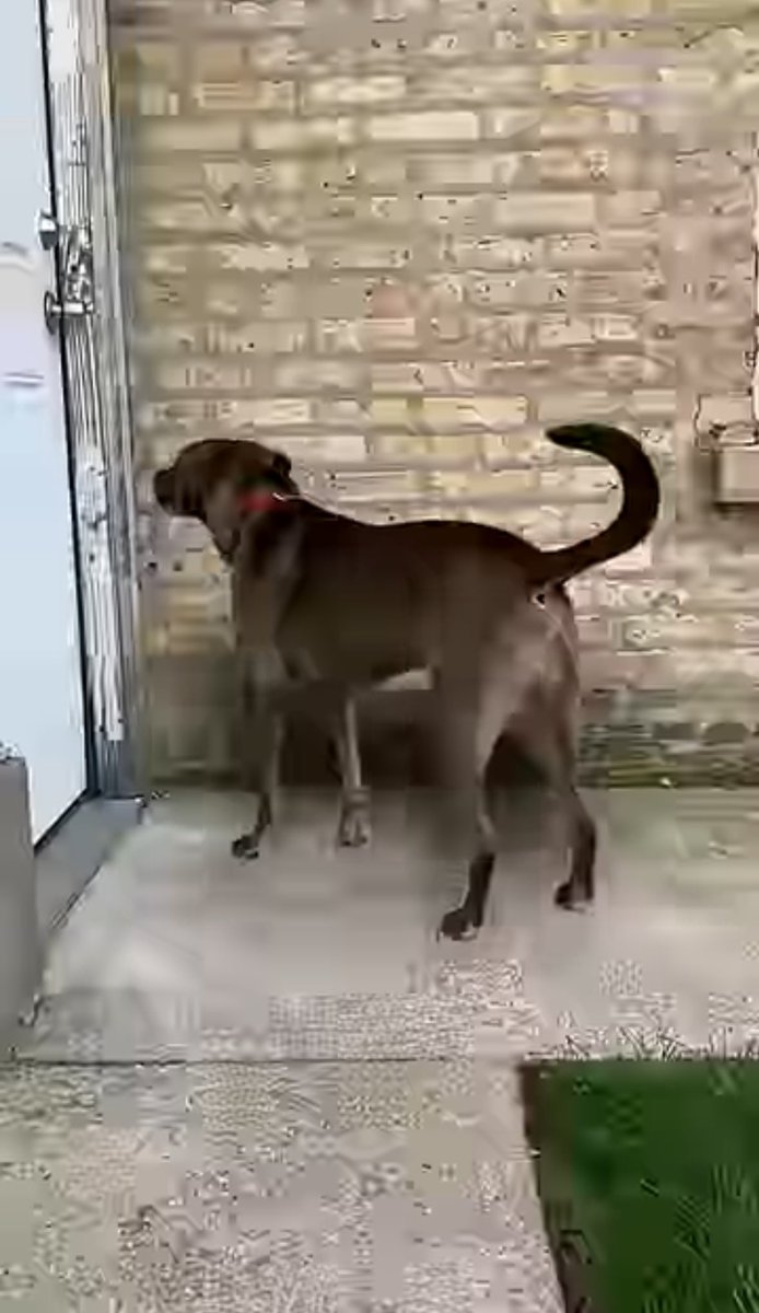 F for Fake + My Weekend as a 28-year-old in Chicago