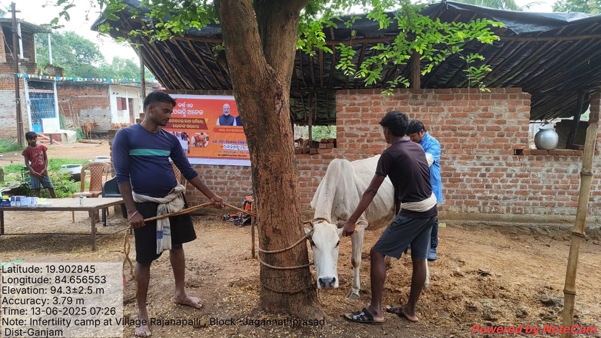 Infertility camp at village Rajanapalli Block-jagannathprasad Dist-Ganjam on dt 13.06.2025