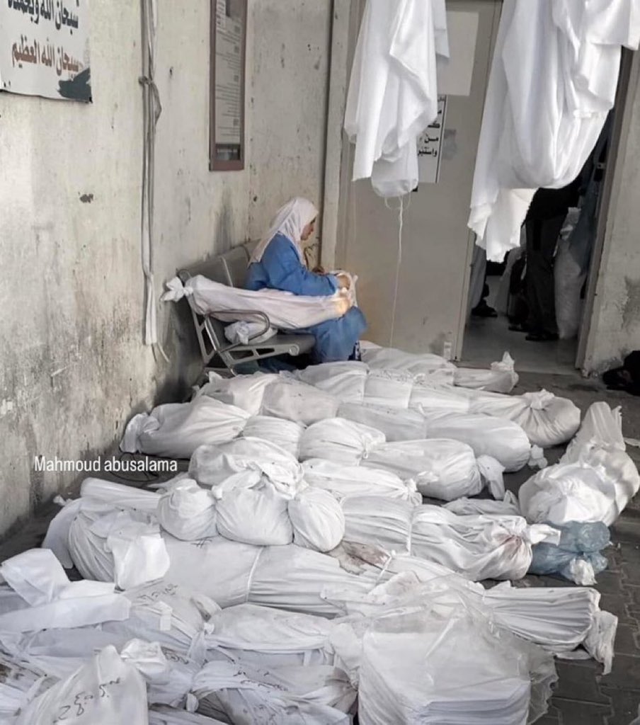 Almashoora Latest News tweet media