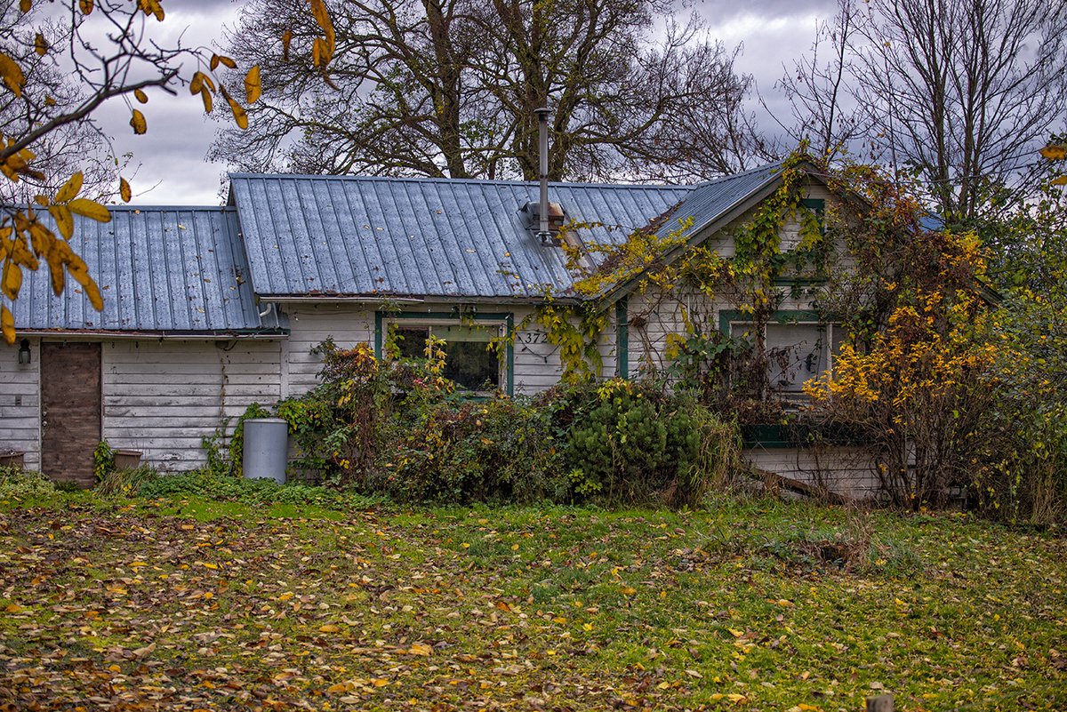Sam_Alexandra23's tweet image. Good day Gang!  Today's challenge theme is your choice of #Abandoned, #Decay or #Rusty. Remember this is about #Photography so share you best shots and have a nice day out there! 📸🇨🇦