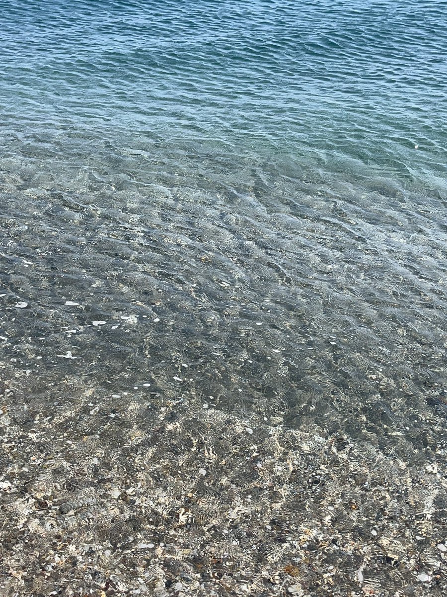 carmenespruizc's tweet photo. A lo que hemos venido a la vida. Mediterráneo. https://t.co/QLqYSIWirJ