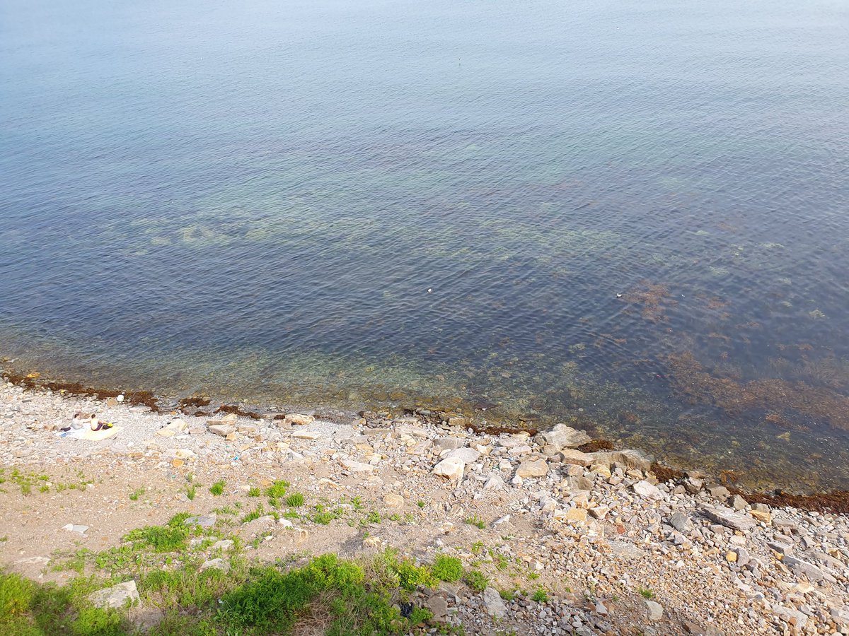 GridCrab's tweet image. The weather has been very nice lately! Yesterday I went on a 20 kilometer long walk across the mountains with a friend, have these pictures I took!