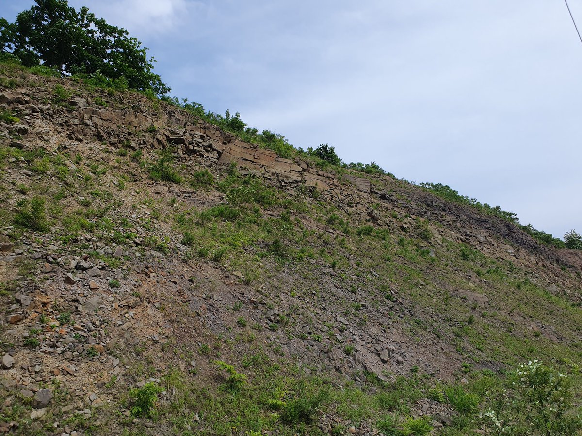 GridCrab's tweet image. The weather has been very nice lately! Yesterday I went on a 20 kilometer long walk across the mountains with a friend, have these pictures I took!