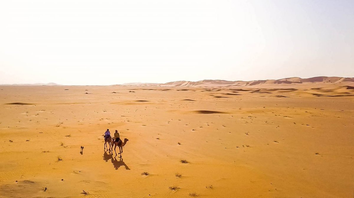 أكْباد الإبل:

يقولون (فلان تُضْرَبُ إليه أكْباد الإبل):

• أي (يُرحل إليه في طلب العلم وغيره)، وقد كان قديمًا تُقطع المسافات الطويلة على الإبل طلباً للعلم، وكانوا يستحثون الإبل (بضربها بأرجلهم على جنوبها التي فيها الأكباد).