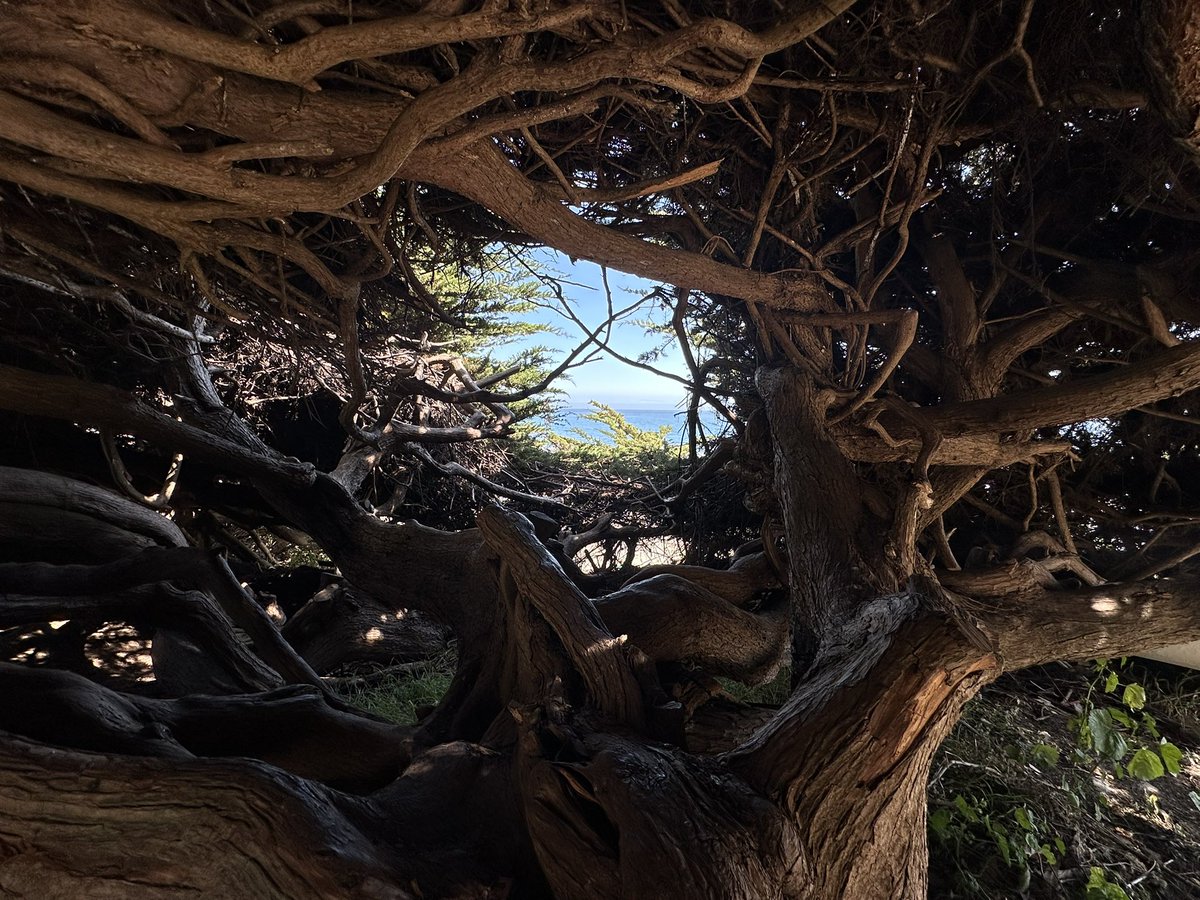 eatyoulikeapill's tweet photo. Window to the ocean https://t.co/gAHFhEOurn