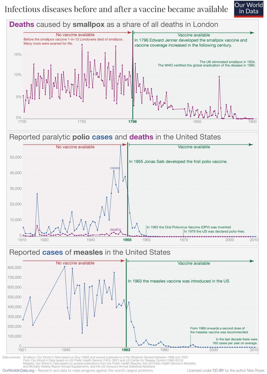 The introduction of vaccines all but eliminated smallpox, polio, and measles.