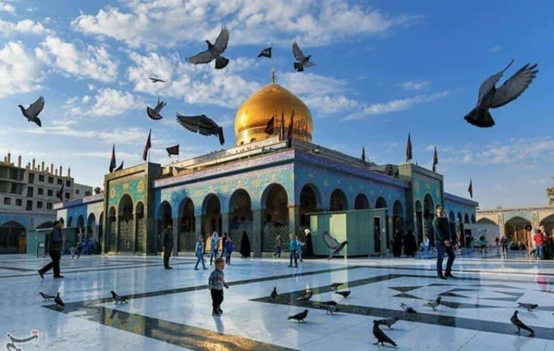 آه للشام ومن فيها
يتيمة إخوتها وبنيها
لا زالت تشكوا غربتها
قد غاب حماها وناعيها
#آه_يا_زينب