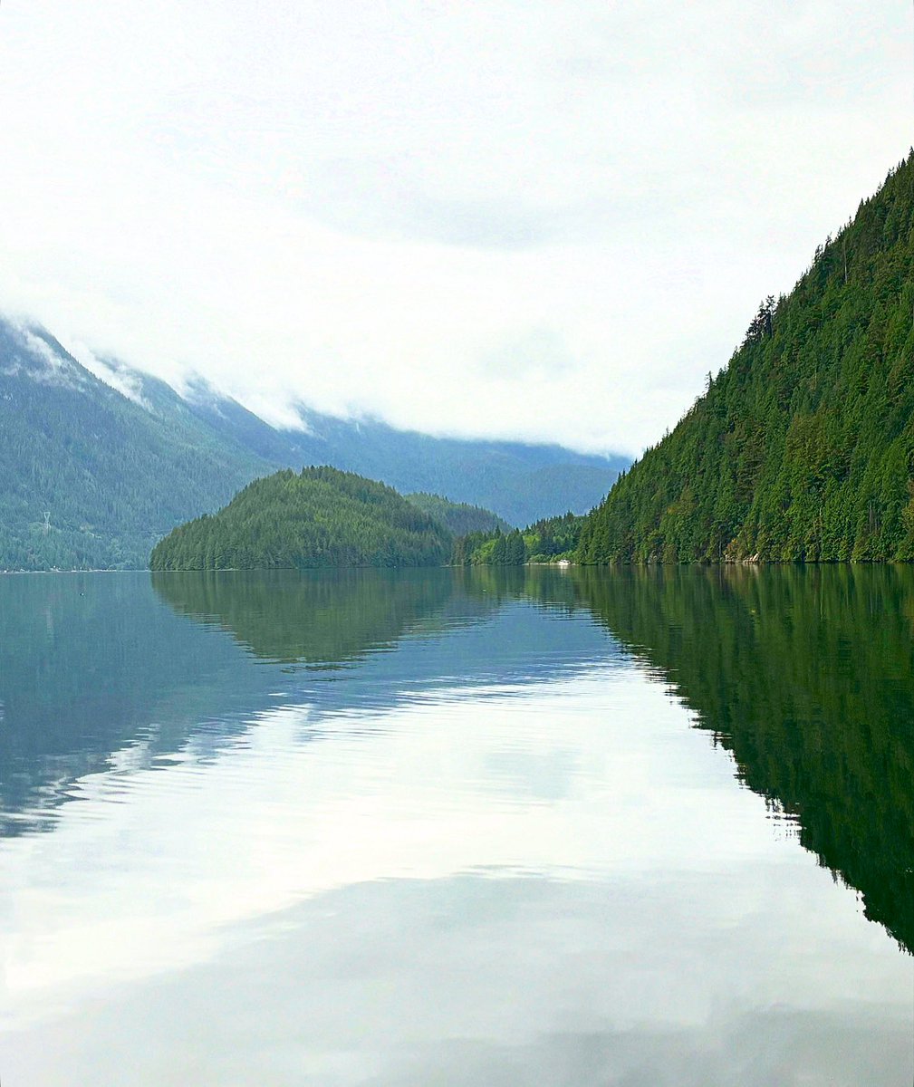 Alexa Young tweet media